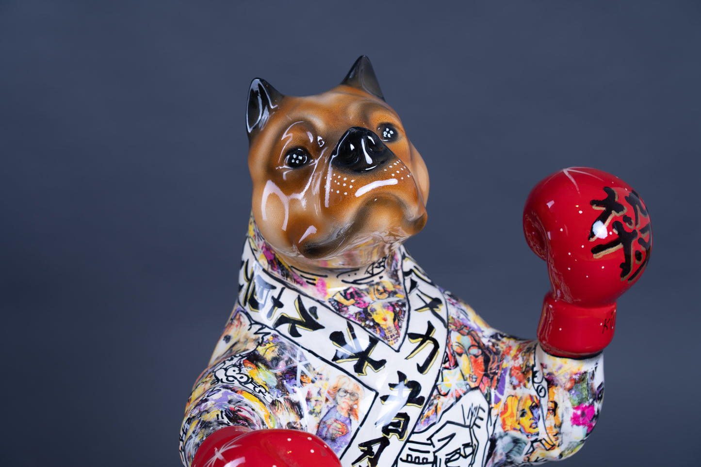 The Boxer