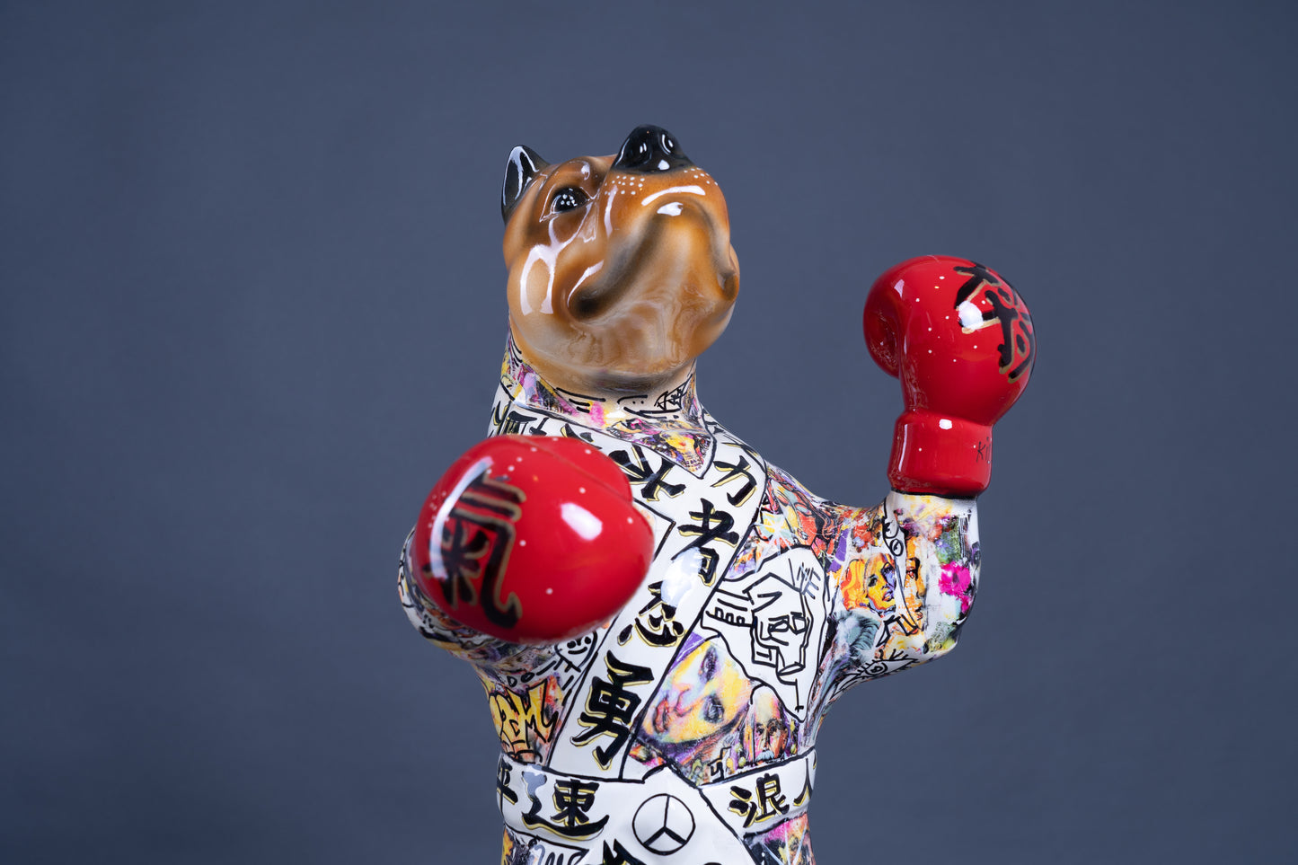 The Boxer