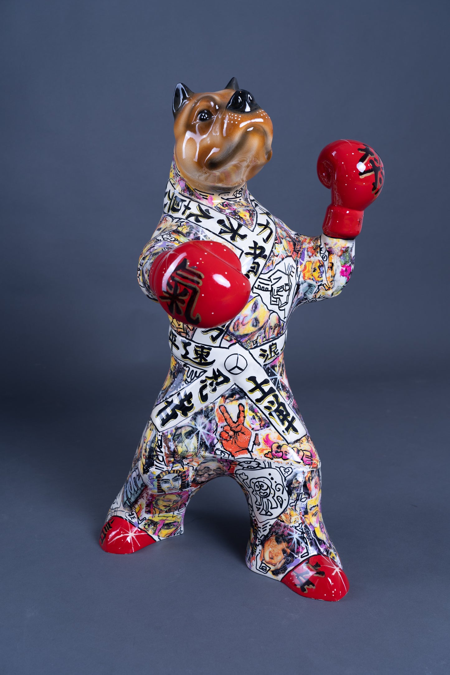 The Boxer